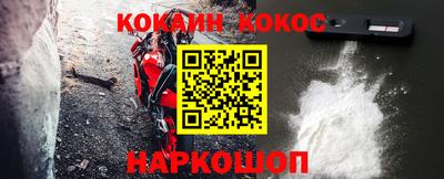крисы Гатчина
