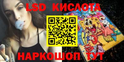 крисы Гатчина