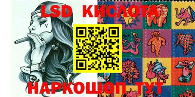 крисы Гатчина