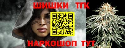 крисы Гатчина