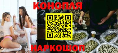 амф Гай