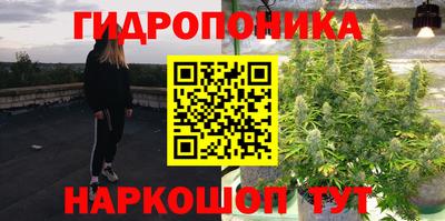амф Гай