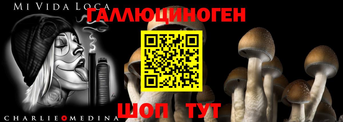 Галлюциногенные грибы ЛСД  Псилоцибиновые грибы Magic Shrooms  Моздок  Вход с VPN 